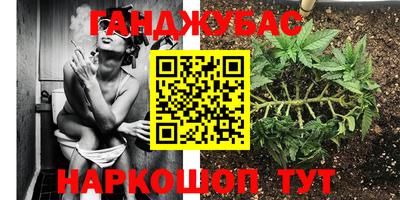 спайс Кандалакша