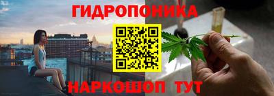 гашик Канаш