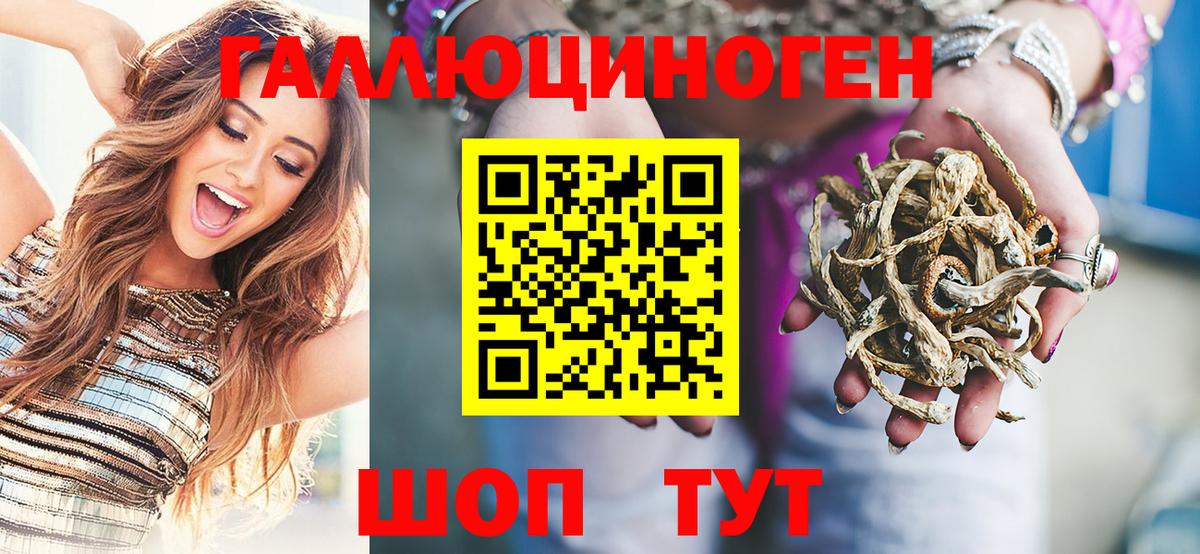 Галлюциногенные грибы мицелий  продажа наркотиков  Курчатов  Псилоцибиновые грибы GOLDEN TEACHER  Вход с VPN 